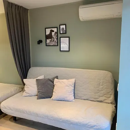 Poilsis Birutes Alejoje דירה *